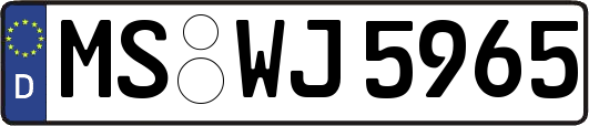 MS-WJ5965