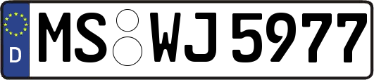 MS-WJ5977