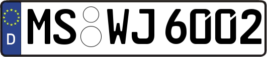 MS-WJ6002