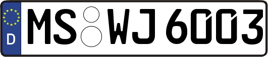 MS-WJ6003