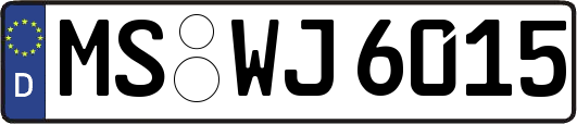 MS-WJ6015