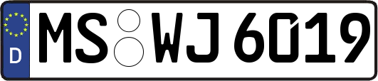 MS-WJ6019
