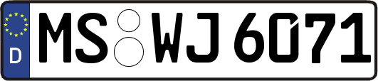 MS-WJ6071
