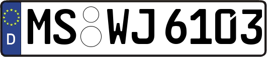 MS-WJ6103