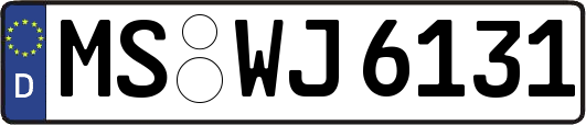 MS-WJ6131