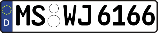MS-WJ6166