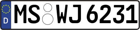 MS-WJ6231