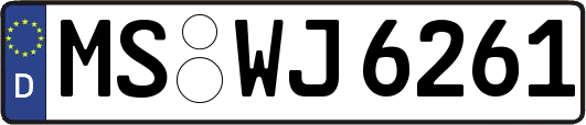 MS-WJ6261