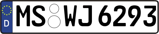 MS-WJ6293