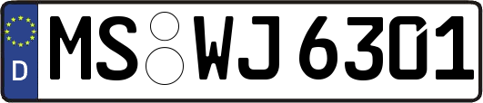 MS-WJ6301