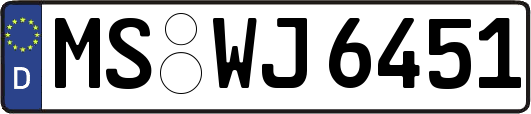 MS-WJ6451