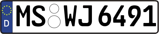 MS-WJ6491