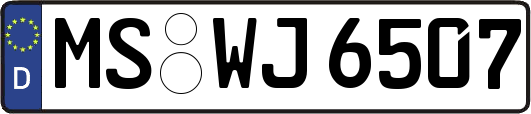 MS-WJ6507
