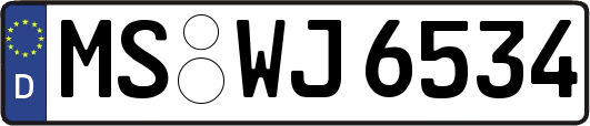 MS-WJ6534