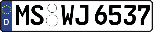 MS-WJ6537