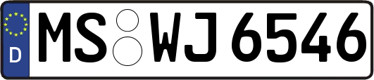 MS-WJ6546