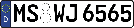MS-WJ6565