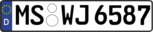 MS-WJ6587