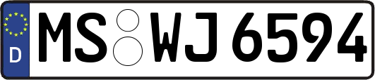 MS-WJ6594