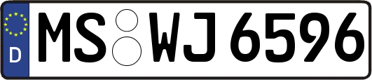 MS-WJ6596