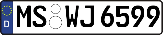 MS-WJ6599