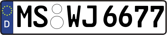 MS-WJ6677