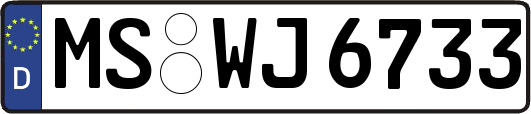 MS-WJ6733