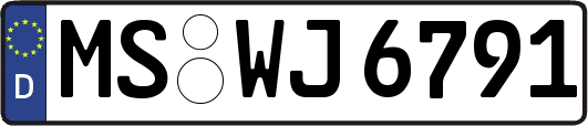 MS-WJ6791