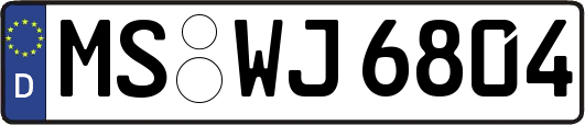MS-WJ6804