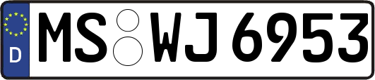 MS-WJ6953