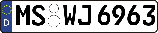 MS-WJ6963