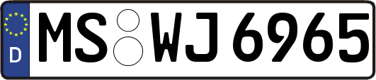 MS-WJ6965