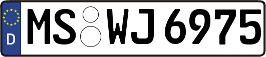 MS-WJ6975