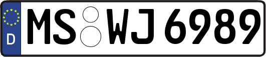 MS-WJ6989