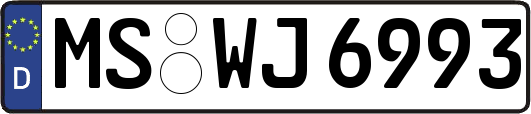 MS-WJ6993