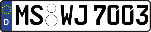 MS-WJ7003