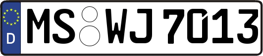 MS-WJ7013