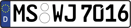 MS-WJ7016