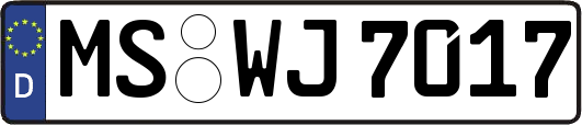 MS-WJ7017