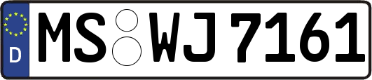 MS-WJ7161