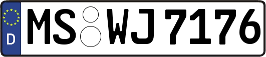 MS-WJ7176