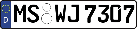MS-WJ7307
