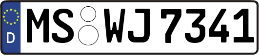 MS-WJ7341