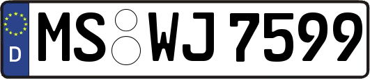 MS-WJ7599