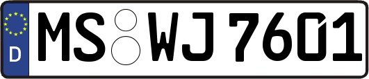 MS-WJ7601