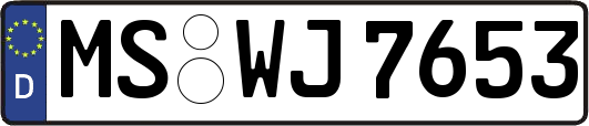 MS-WJ7653