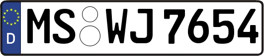 MS-WJ7654