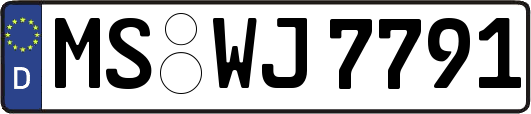 MS-WJ7791