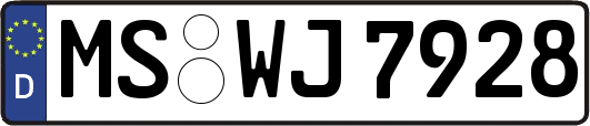 MS-WJ7928