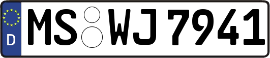 MS-WJ7941